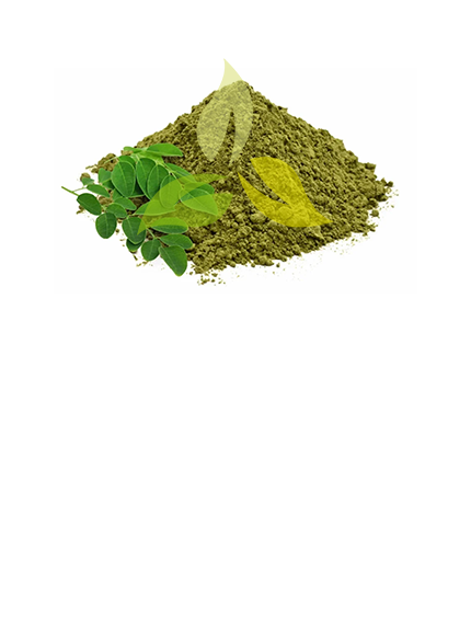 Moringa Extract