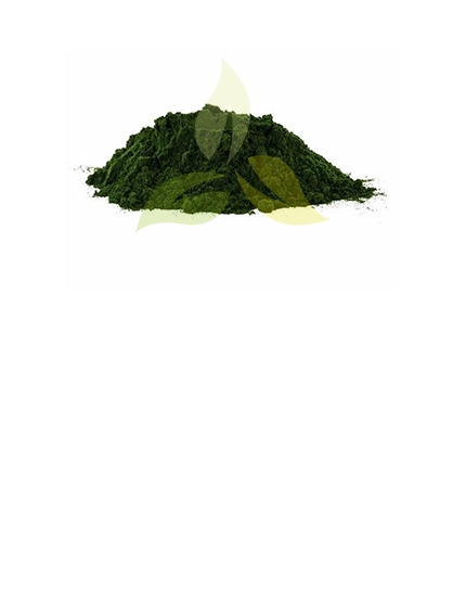 Chlorella Powder