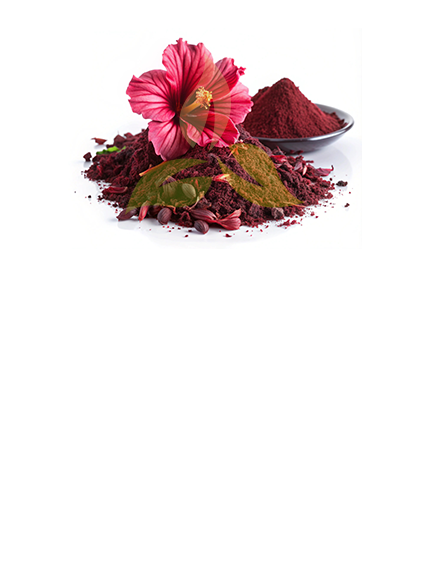 Hibiscus Powder