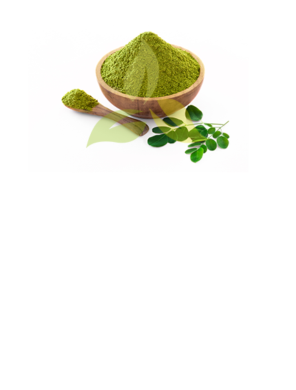 Moringa Powder