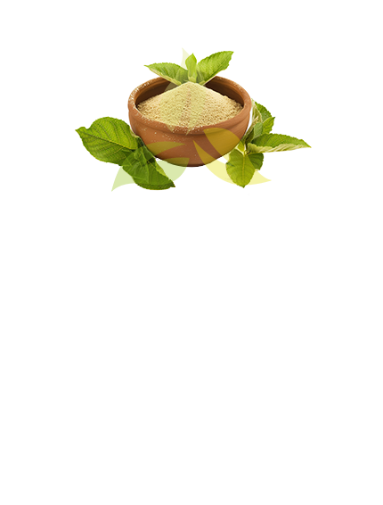 Tulsi Powder