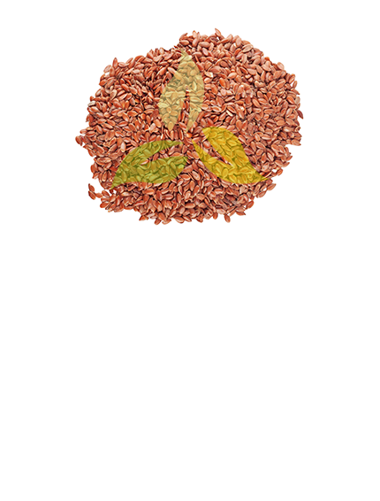 Flax Seeds