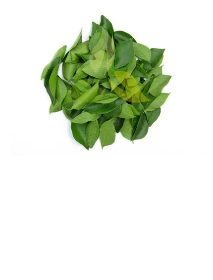 Curry Leaves