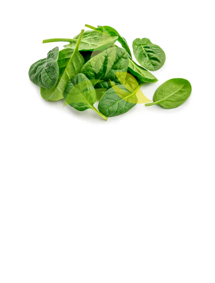 Spinach Leaves