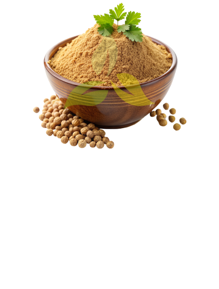 Coriander Powder