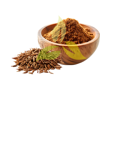 Cumin Powder