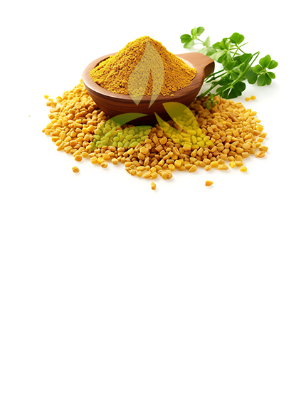 Fenugreek Powder