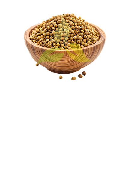 Coriander Seeds