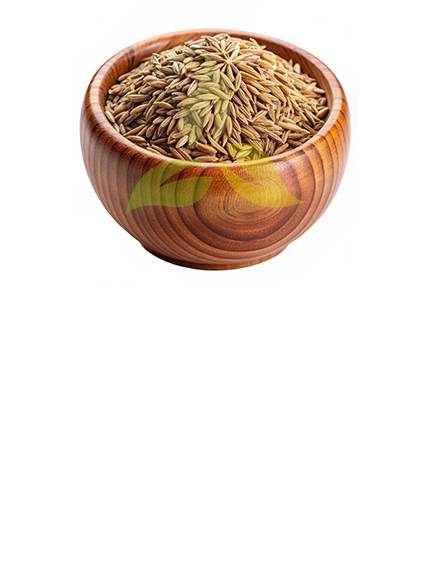 Cumin Seeds