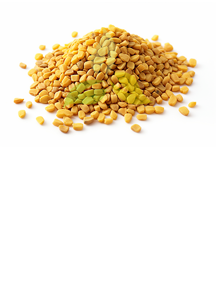 Fenugreek