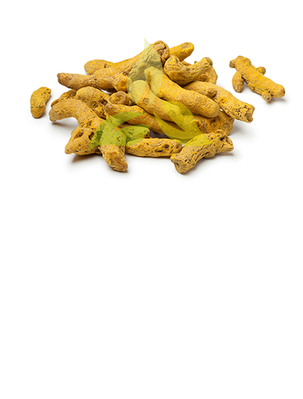 Turmeric