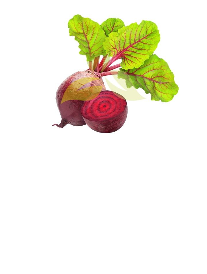 Beetroot