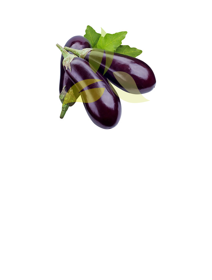 Brinjal