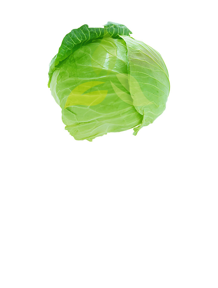 Cabbage