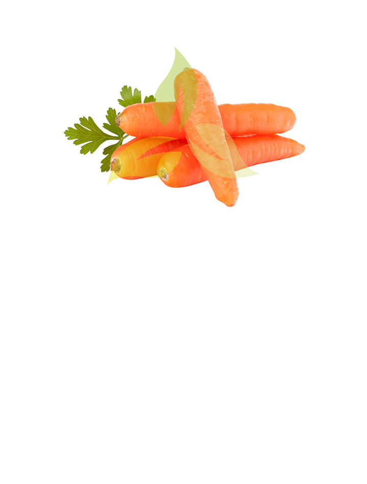 Carrot