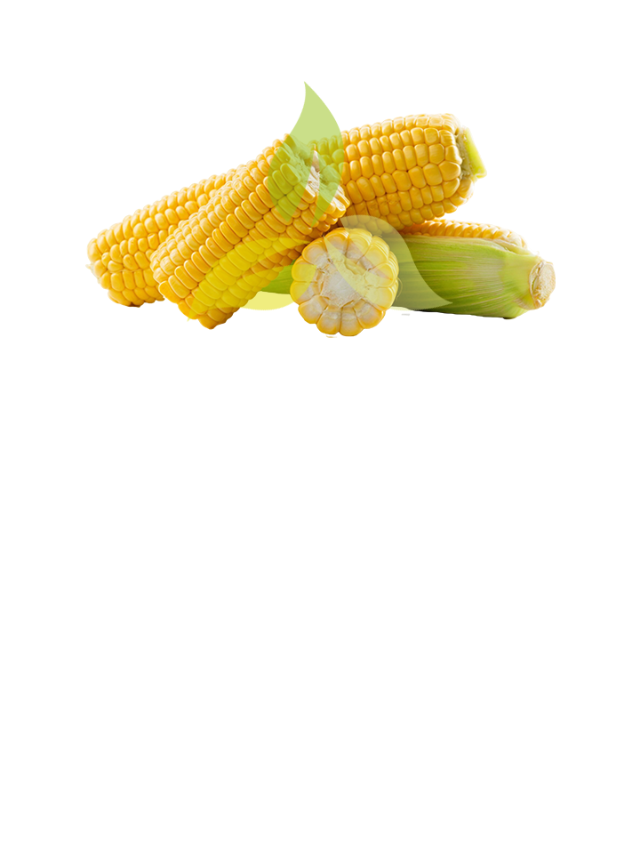 Corn