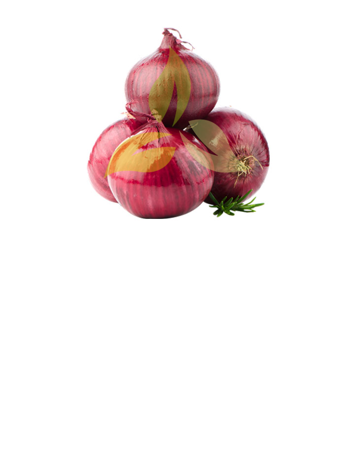 Onion