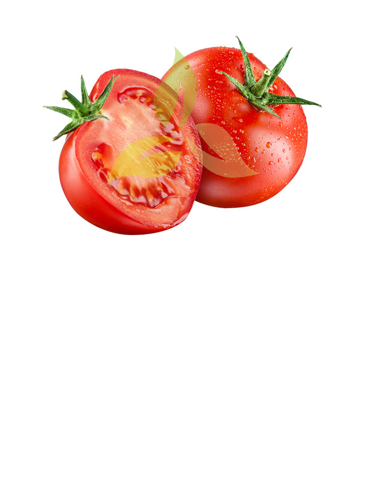 Tomato