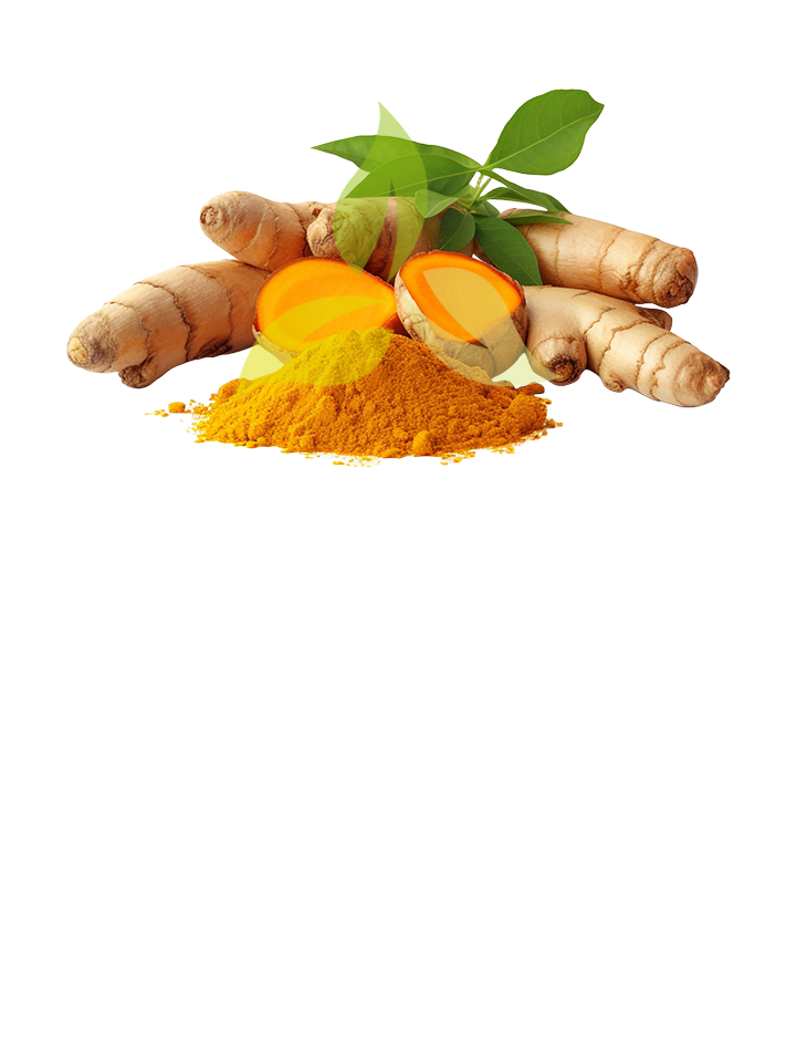 Turmeric